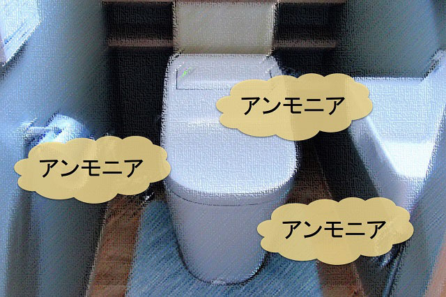 トイレのアンモニア臭のイメージ画像