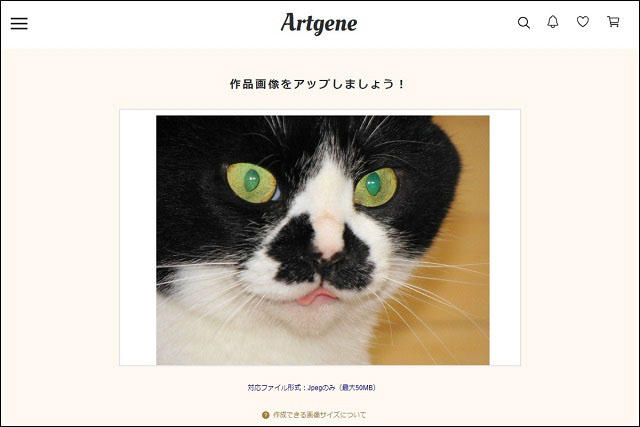Artgeneの公式サイトの作品画像アップ画面の画像