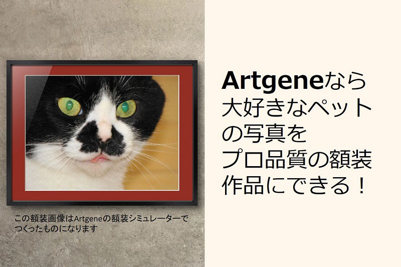 Artgeneなら大好きなペットの写真をプロ品質の額装作品にできる！